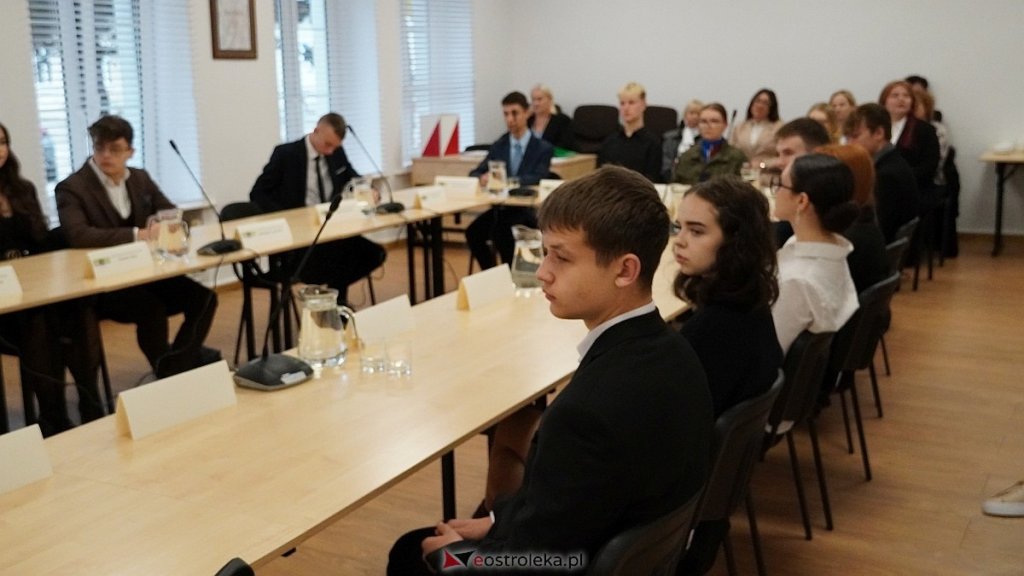 Młodzieżowa Rada Miasta wskazała swojego kandydata na opiekuna. Decyzja wkrótce