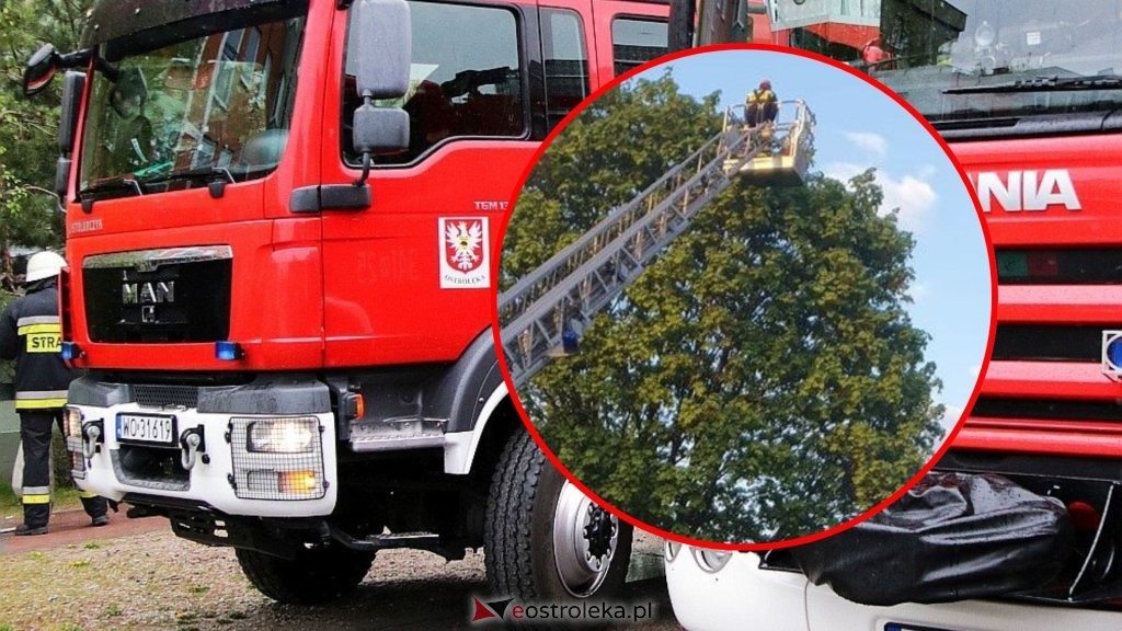 zdjęcie ilustracyjne, fot. eOstroleka.pl