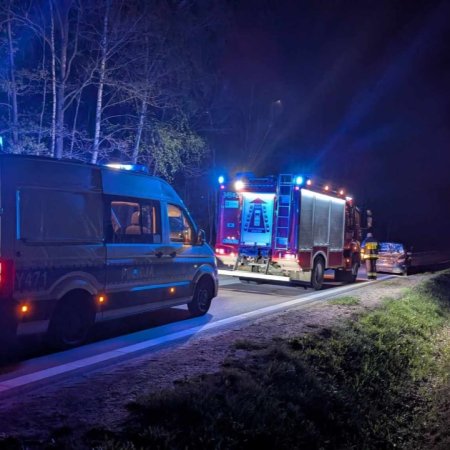 Rozbite auta, ranny łoś, promile i… mefedron w kieszeni pasażera. Co się stało na jednej z lokalnych dróg?