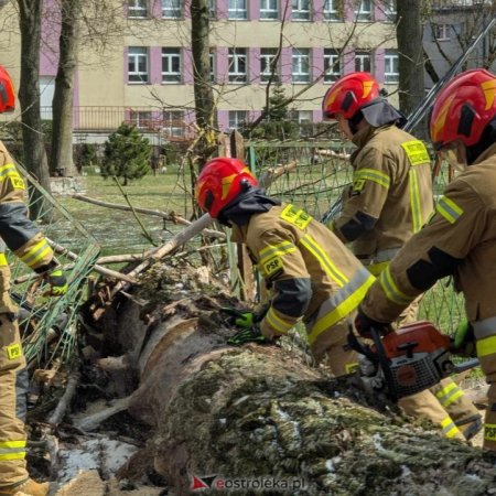 Gwałtowna burza nad Ostrołęką i okolicami. Strażacy usuwają skutki nawałnicy [WIDEO]