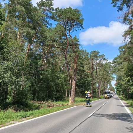Zagrożenie na lokalnej drodze. Wezwano strażaków