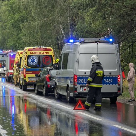 Wypadek w Łodziskach. To skutek nieostrożnej jazdy. Policja podaje szczegóły [ZDJĘCIA]