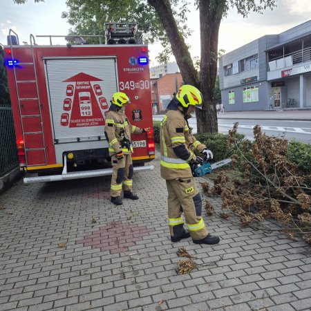 Pracowity wieczór strażaków z Ostrołęki. Interwencje jedna po drugiej