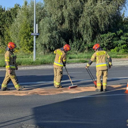 Poranne utrudnienia na Ostrowskiej. Straż pożarna interweniuje na drodze [ZDJĘCIA]