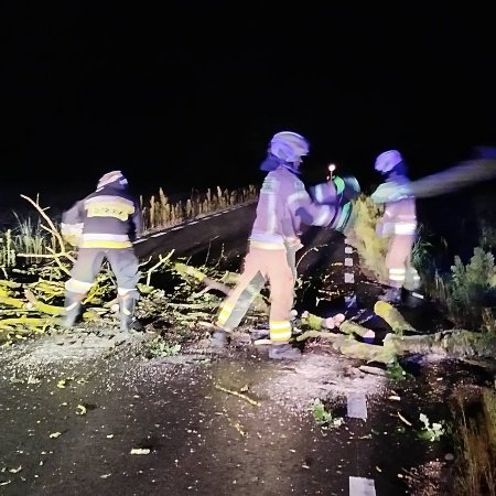 Burzowa noc w regionie ostrołęckim. Strażacy mieli pełne ręce pracy [ZDJĘCIA]