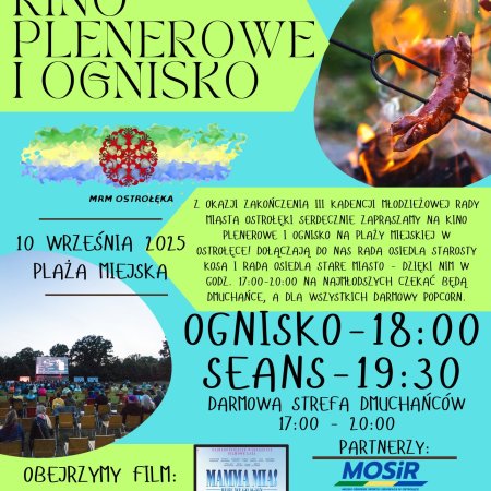 Młodzieżowa Rada Miasta 