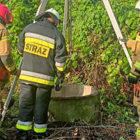 Uwięziony 7 metrów pod ziemią! Dramatyczna akcja ratunkowa ze szczęśliwym finałem