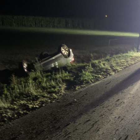 Nietypowa przyczyna kolizji na drodze krajowej nr 53