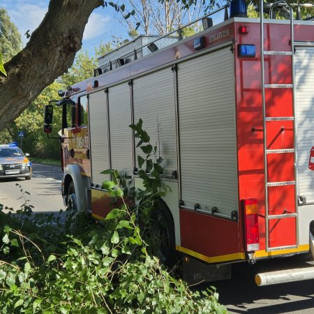 Niebezpieczny konar na Żeromskiego. Interwencja OSP i Straży Miejskiej