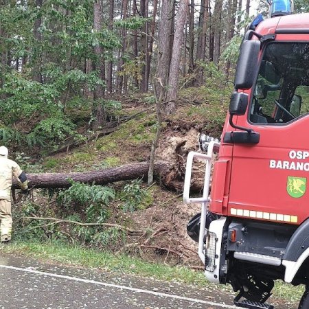 Niebezpieczna przeszkoda na drodze. Strażacy z Baranowa w akcji
