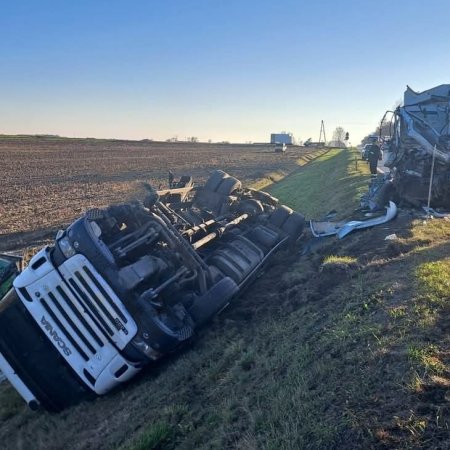 Zderzenie dwóch ciężarówek. Jedna z nich wylądowała w rowie