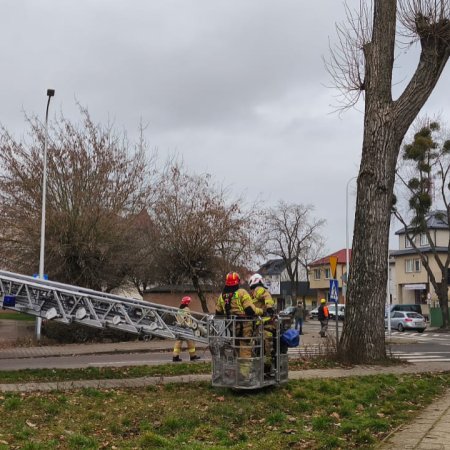 Zagrożenie było spore. Nie obyło się bez interwencji służb [ZDJĘCIA]