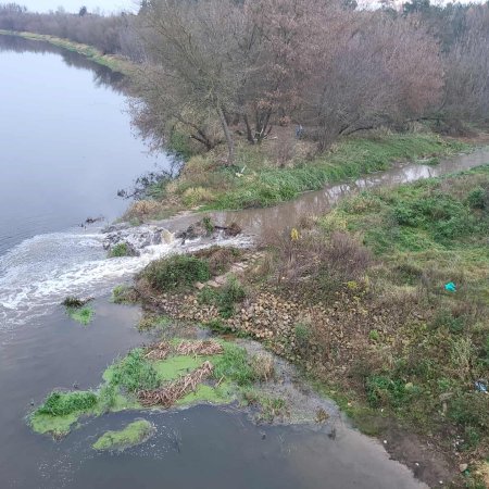 Zanieczyszczenie Narwi: Stora Enso zabiera głos w sprawie piany. To "osad czynny". Wyjaśniamy, co to znaczy