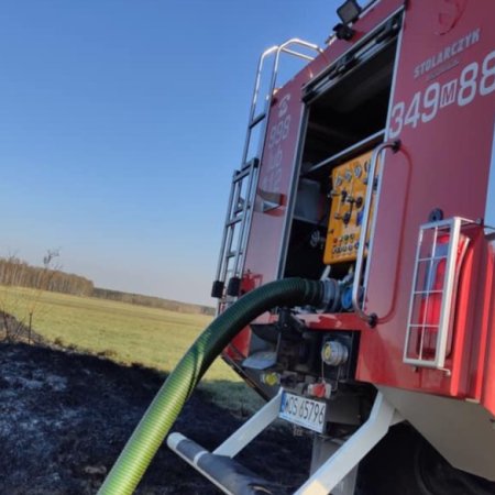Płonęła łąka w Dzbeninie. Sprawna akcja strażaków