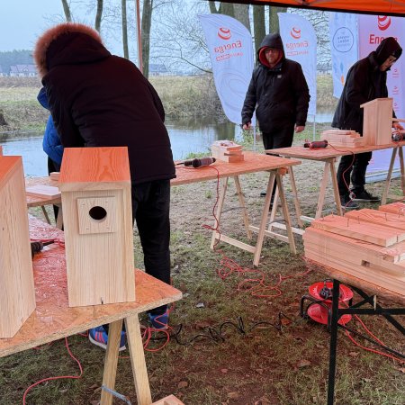 Pomagają naturze w Ostrołęce! Domki lęgowe dla ptaków trafią do lasów Nadleśnictwa