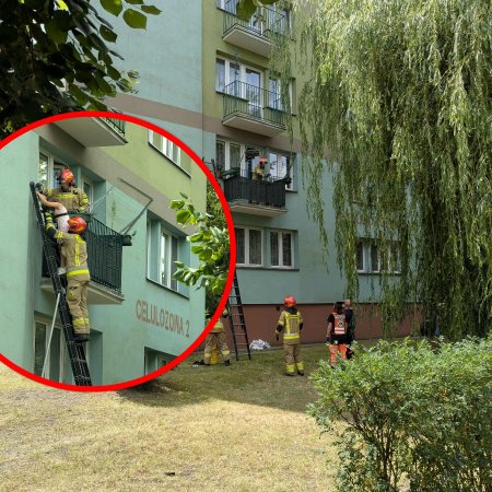 Policja i straż przy Celulozowej. 15-latek wypadł z balkonu! [ZDJĘCIA]