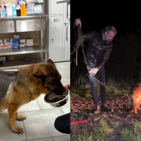 Kontrowersje po nocnej interwencji. Oskarżana przez DIOZ radna zapowiada kroki prawne