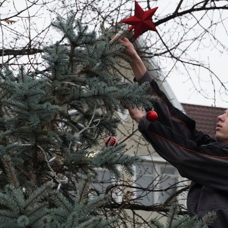 Świąteczna Ostrołęka: Młodzieżowa Rada Miasta stroi choinkę na Placu Kaczyńskiego. Rodzi się nowa tradycja? [WIDEO, ZDJĘCIA]