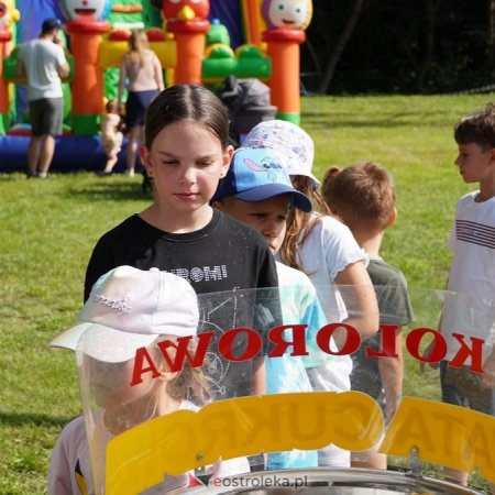 Piknik rodzinny z KGW w Drężewie. Moc atrakcji [ZDJĘCIA]