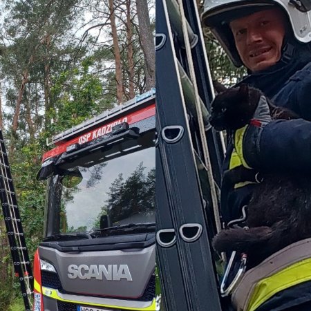 Nie tylko pożary. Do takich interwencji też jeżdżą strażacy