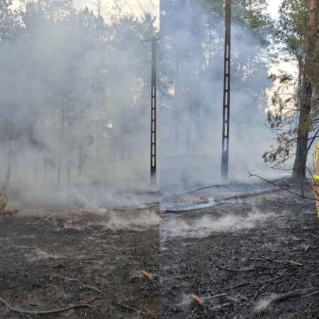 Pożar w Myszyńcu-Korytach. Przed burzą palił się las