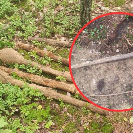 Spacer zakończony alarmem – w lesie znaleziono granatniki z II wojny światowej [ZDJĘCIA]