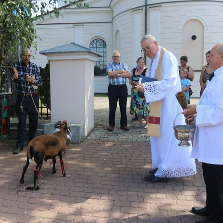 Tradycyjny odpust św. Rocha z błogosławieństwem zwierząt. Tak robią to na Kurpiach! [WIDEO, ZDJĘCIA]