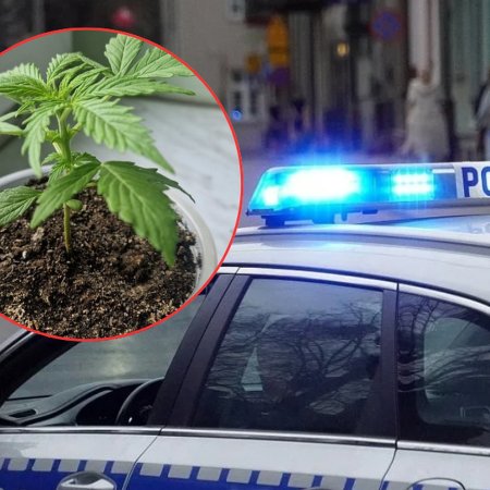 Zwykła interwencja, nietypowy finał – co odkryto na parapecie w domu 25-latka?