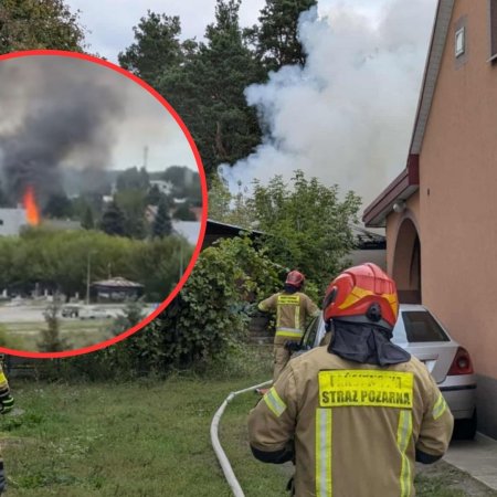 Wideo z pożaru na Ławskiej obiegło sieć. Strażacy walczyli z ogniem, który mógł spalić znaczny obszar [WIDEO, ZDJĘCIA]