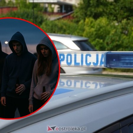 Dzielnicowi stawiają na bezpieczeństwo – nowe działania na terenie gminy Lelis