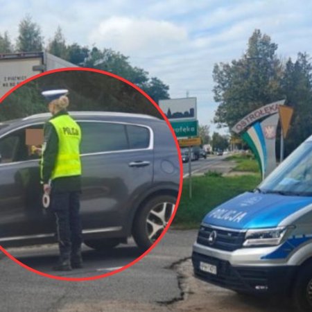 Plaga pijanych kierowców. Szokujące wyniki akcji "Trzeźwość"