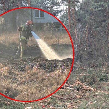 Straż pożarna w akcji na osiedlu Sienkiewicza – zapaliła się ściółka leśna