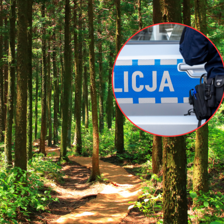 Nieoczekiwany finał poszukiwań w lesie. Tego nie spodziewali się nawet policjanci