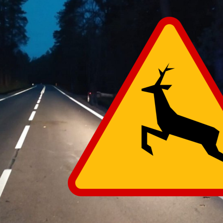 Dachowanie zamiast zderzenia. Pięć osób w szpitalu po gwałtownym manewrze