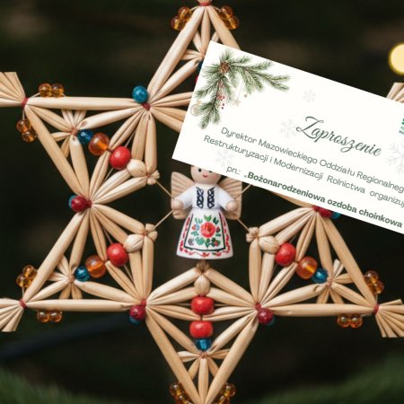 Konkurs ARiMR "Bożonarodzeniowa ozdoba choinkowa" dla KGW z powiatu ostrołęckiego. II edycja czeka na zgłoszenia!