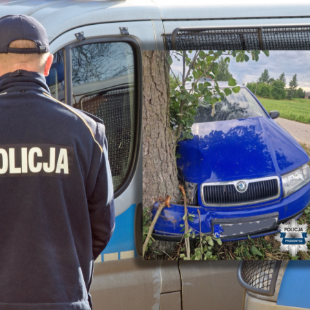 Pijana i bez uprawnień! 59-letnia kobieta wjechała w drzewo