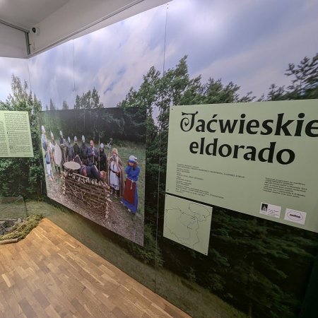 Ozdoby, broń i codzienność Jaćwingów – zobacz unikatowe znaleziska w ostrołęckim muzeum [ZDJĘCIA]