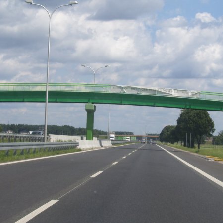 Szedł ekspresową S8, ryzykując życiem! Twierdził, że "słyszy głosy"