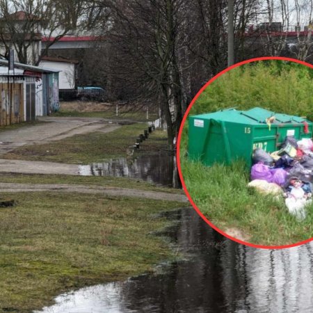 Wędkarze z Ostrołęki posprzątają brzegi Narwi