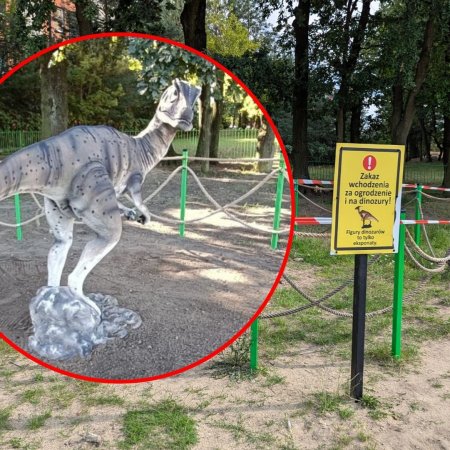 Wandal zniszczył popularną zabawkę na placu zabaw. Straty sięgają 20 tysięcy złotych