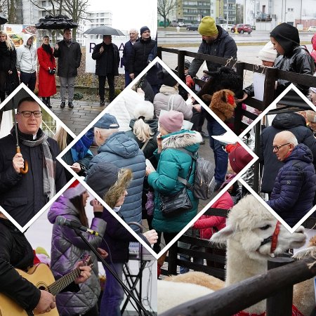 Sąsiedzka Wigilia na osiedlu Centrum w Ostrołęce. Żywa szopka i świąteczne spotkanie mieszkańców [WIDEO, ZDJĘCIA]