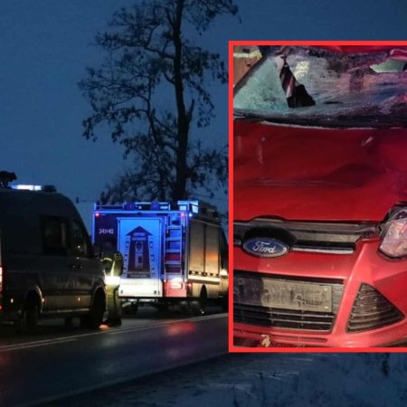 Groźny weekend na drogach powiatu ostrołęckiego. Seria zderzeń z dziką zwierzyną