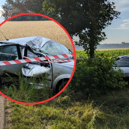 Poważny wypadek o świcie. Policja wyjaśnia okoliczności [ZDJĘCIA]