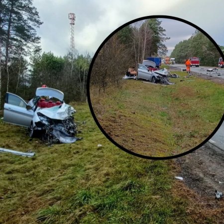 Czołowe zderzenie na DK60 w Sielcu. Policja podaje wstępne przyczyny wypadku [ZDJĘCIA]