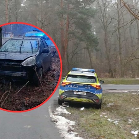 Groźny wypadek o świcie. 47-latka uderzyła Nissanem w drzewo i trafiła do szpitala [ZDJĘCIA]