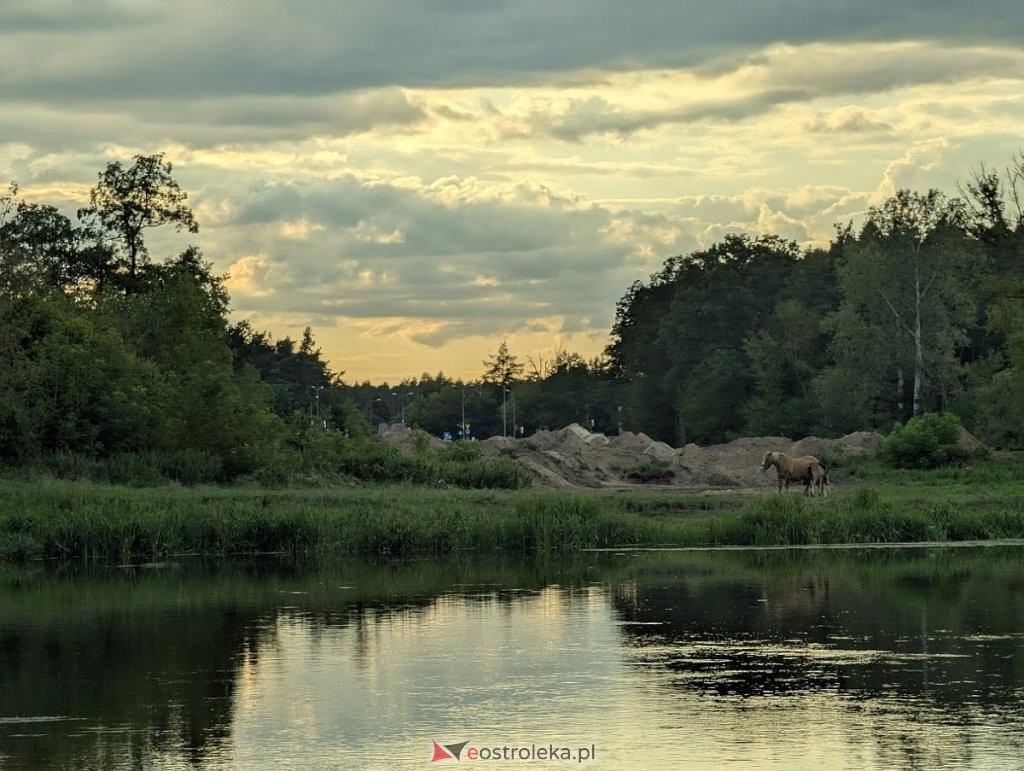 fot. eOstrołęka.pl