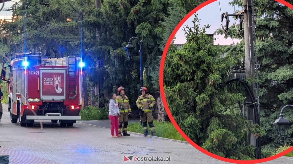 fot. eOstroleka.pl