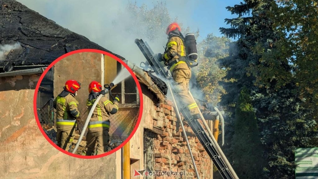 fot. eOstrołęka.pl
