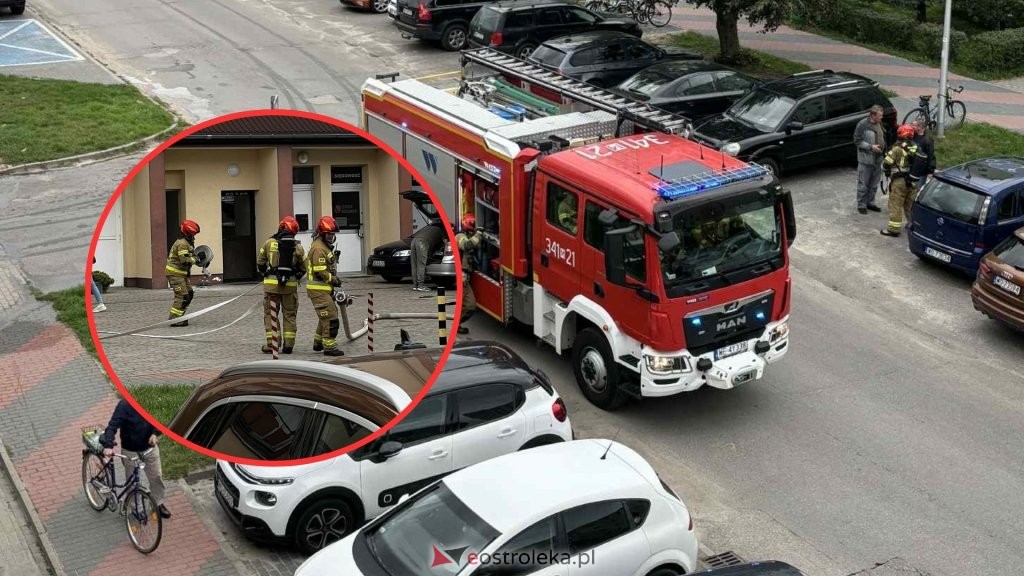 eOstrołęka.pl