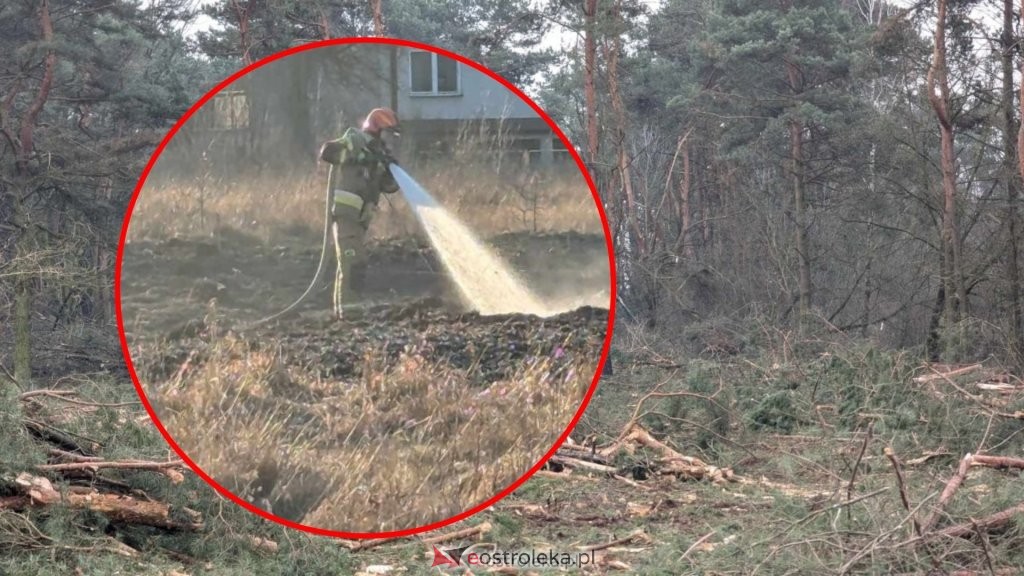 zdjęcie ilustracyjne, fot. eOstroleka.pl